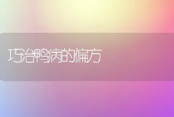 巧治鸭病的偏方