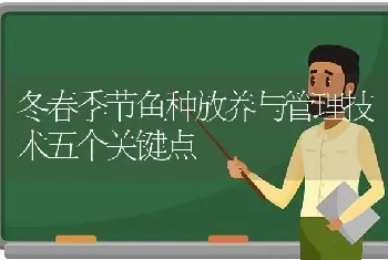 冬春季节鱼种放养与管理技术五个关键点