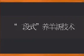 “二段式”养羊新技术