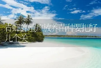 青虾养殖户放养苗种要把好几个关