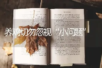 养鸡切勿忽视“小问题”