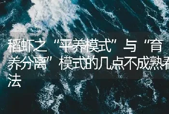 稻虾之“平养模式”与“育养分离”模式的几点不成熟看法