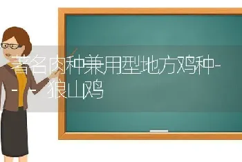 著名肉种兼用型地方鸡种---狼山鸡