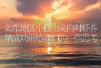 如东地区小棚南美白对虾养殖成功带给我们的一些思考