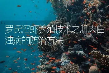 罗氏沼虾养殖技术之肌肉白浊病的防治方法