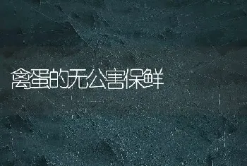 禽蛋的无公害保鲜