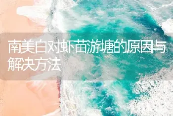 南美白对虾苗游塘的原因与解决方法