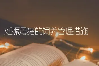 妊娠母猪的饲养管理措施