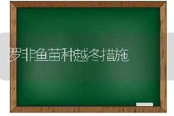 罗非鱼苗种越冬措施