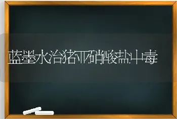 蓝墨水治猪亚硝酸盐中毒