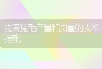 提高兔毛产量和质量的技术措施