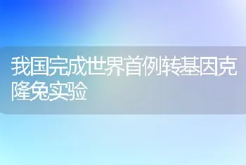 我国完成世界首例转基因克隆兔实验