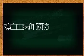 鸡白血病咋预防