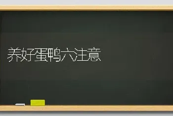 养好蛋鸭六注意