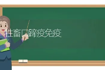 牲畜口蹄疫免疫