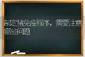 制定猪免疫程序,需要注意哪些问题