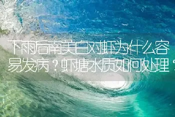 下雨后南美白对虾为什么容易发病?虾塘水质如何处理?