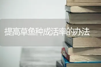 提高草鱼种成活率的办法