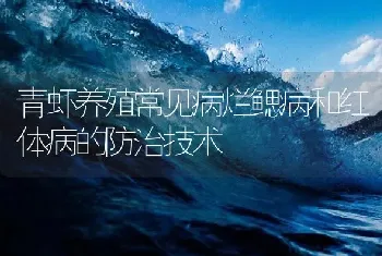 青虾养殖常见病烂鳃病和红体病的防治技术