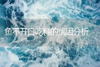 鱼不开口吃料的病因分析