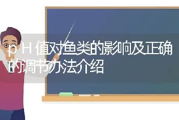 pH值对鱼类的影响及正确的调节办法介绍