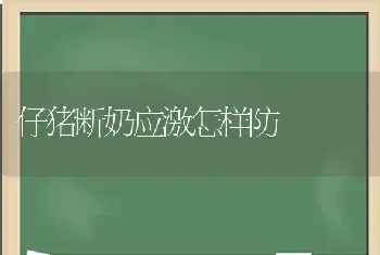 仔猪断奶应激怎样防