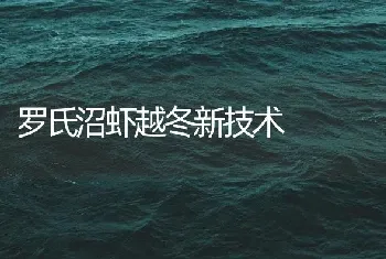 罗氏沼虾越冬新技术