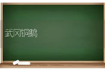 武冈铜鹅