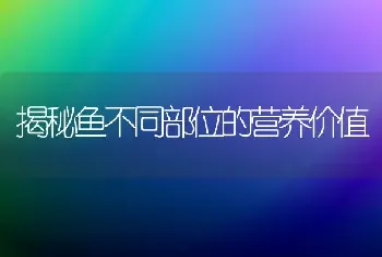 揭秘鱼不同部位的营养价值