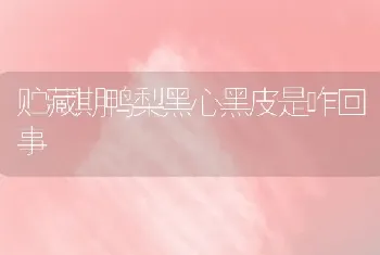 贮藏期鸭梨黑心黑皮是咋回事