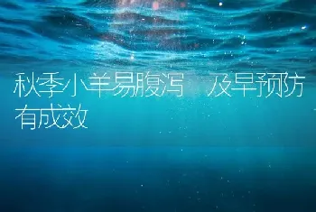 秋季小羊易腹泻 及早预防有成效