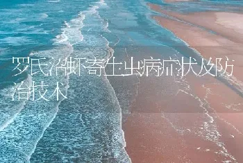 罗氏沼虾寄生虫病症状及防治技术