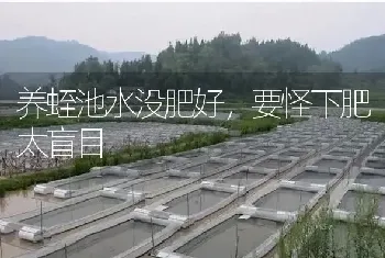 养蛭池水没肥好,要怪下肥太盲目