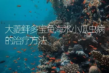 大菱鲆多宝鱼海水小瓜虫病的治疗方法