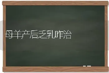 母羊产后乏乳咋治