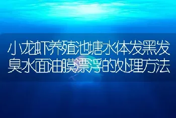 小龙虾养殖池塘水体发黑发臭水面油膜漂浮的处理方法