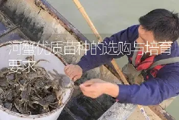 河蟹优质苗种的选购与培育要求