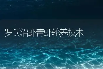 罗氏沼虾青虾轮养技术