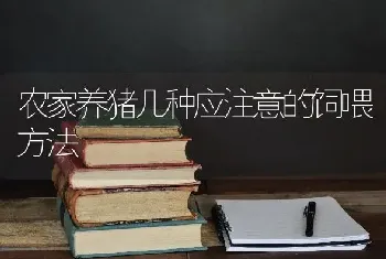 农家养猪几种应注意的饲喂方法