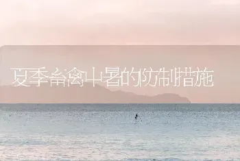 夏季畜禽中暑的防制措施