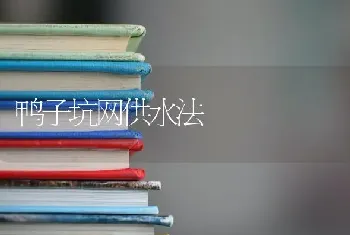 鸭子坑网供水法