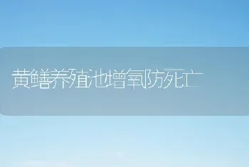 黄鳝养殖池增氧防死亡