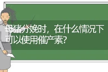 母猪分娩时,在什么情况下可以使用催产素?