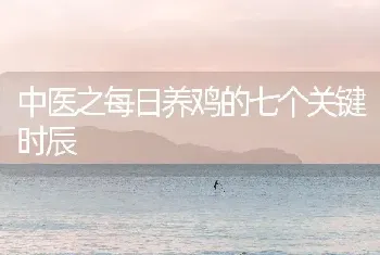 中医之每日养鸡的七个关键时辰