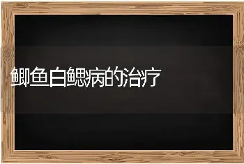 鲫鱼白鳃病的治疗