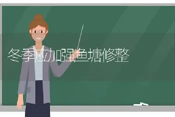 冬季应加强鱼塘修整