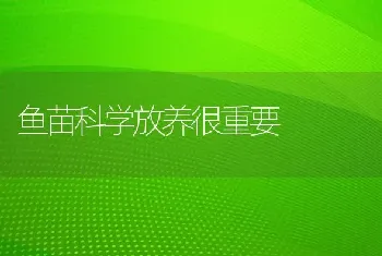 鱼苗科学放养很重要