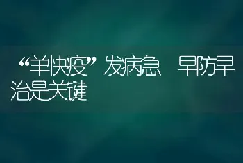 “羊快疫”发病急 早防早治是关键