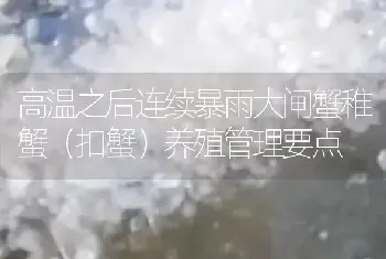 高温之后连续暴雨大闸蟹稚蟹(扣蟹)养殖管理要点