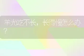 羊光吃不长,长得慢怎么办?